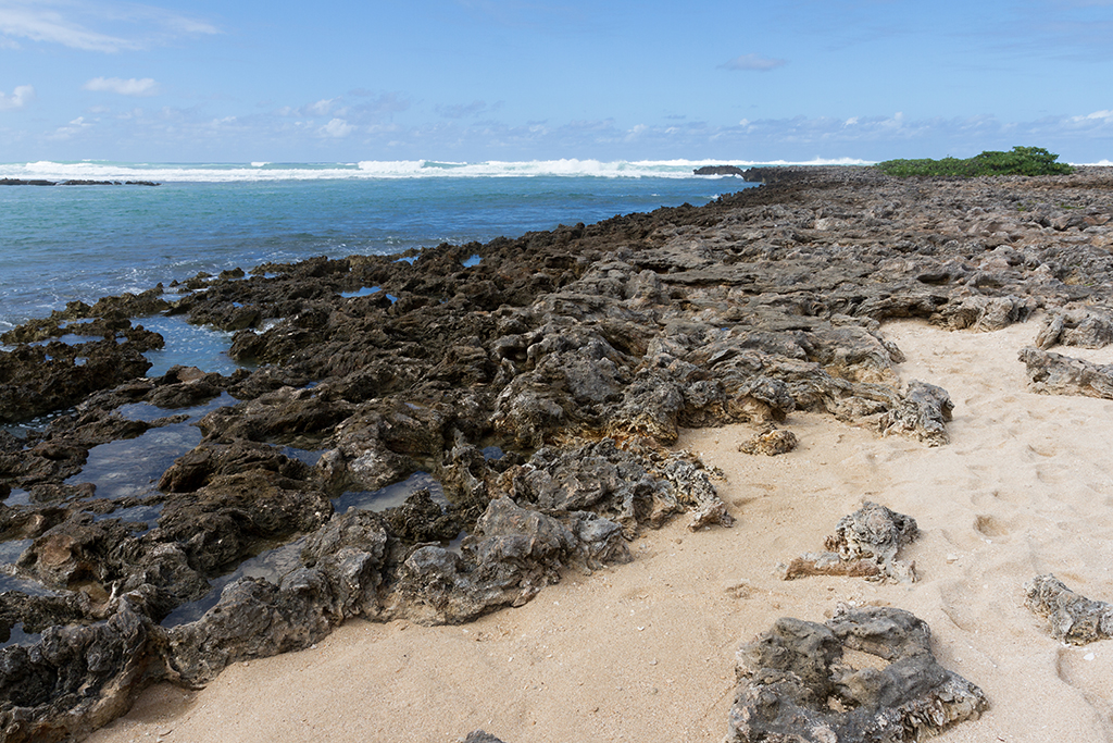 Oahu - 039.jpg - Turtle Bay